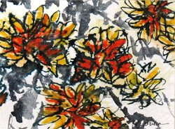 Amy Erdman - Profusion