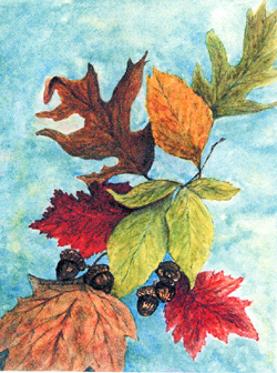 Mary Lou Guididas - Falling Leaves