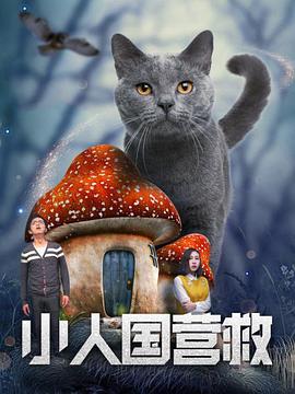 h在线视频免费观看完整版