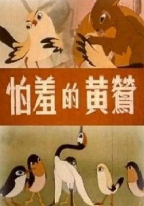 24美女