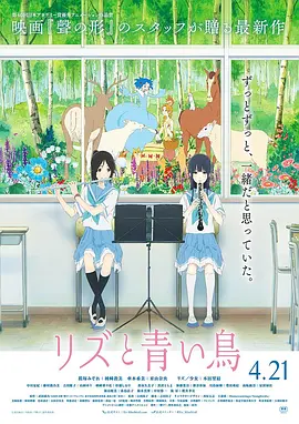 本田岬在线