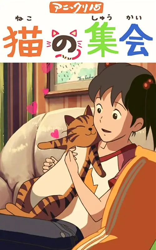 国产精品区免费视频