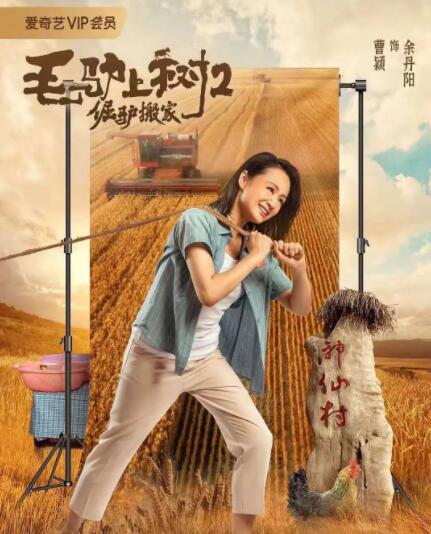 中文在线免费视频