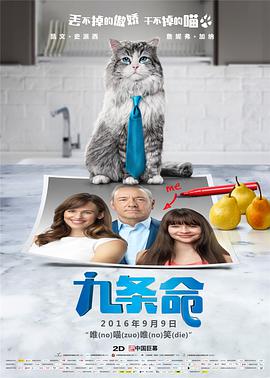不知火舞g狂欢公园