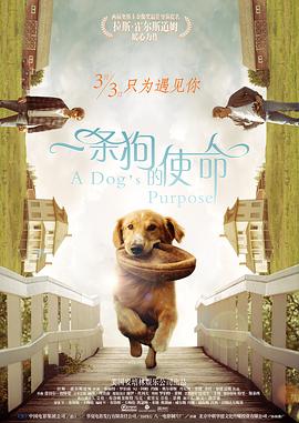 周莹王俊凯三人合体