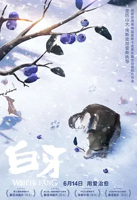 gogo大胆高清视频