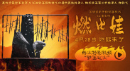 711网盘破解版