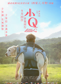 91视频一区二区