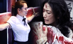 日韩一区二区视频